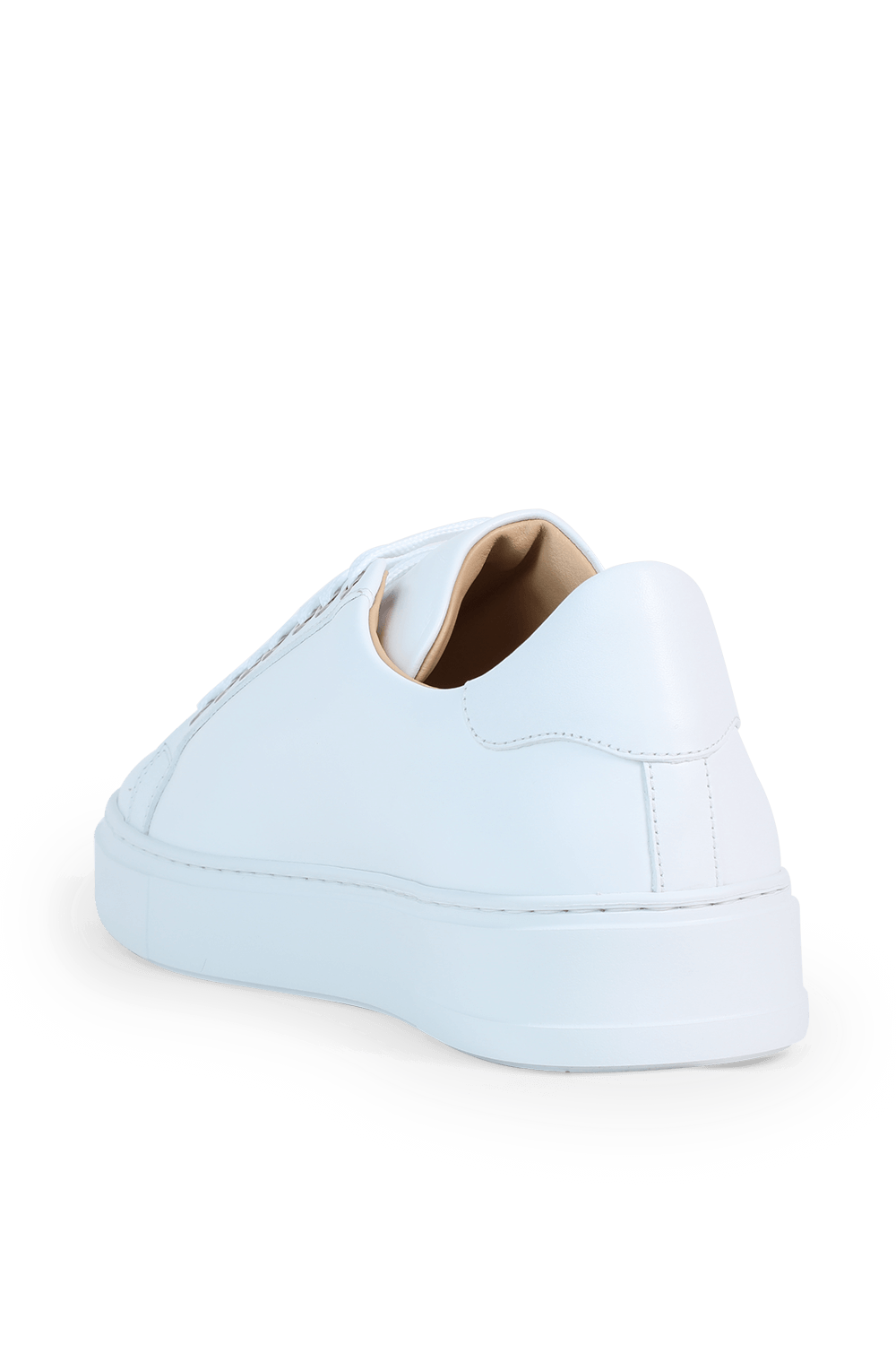 תמונה אחורית של Leather Low Top Sneakers in White