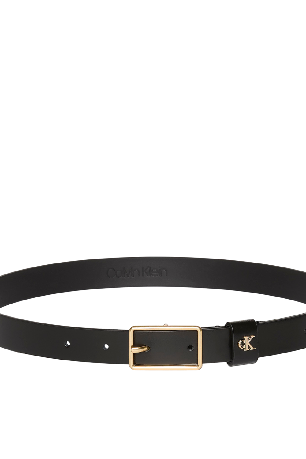 תמונה אחורית של חגורת עור