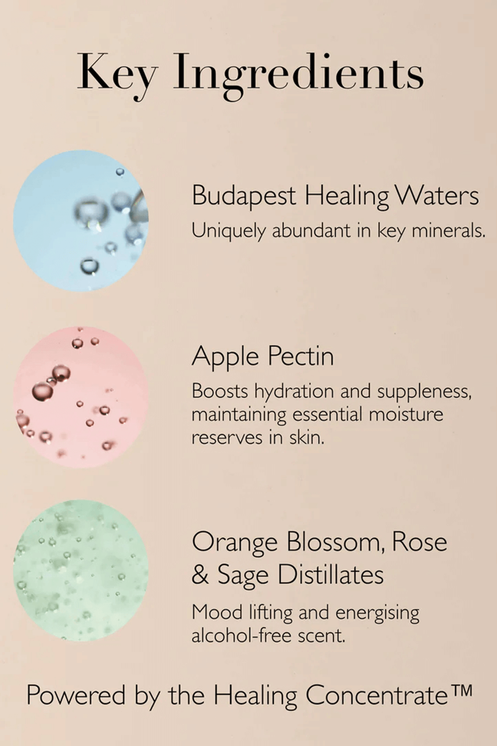 תמונת פנים של Queen of Hungary Mist 100 ml