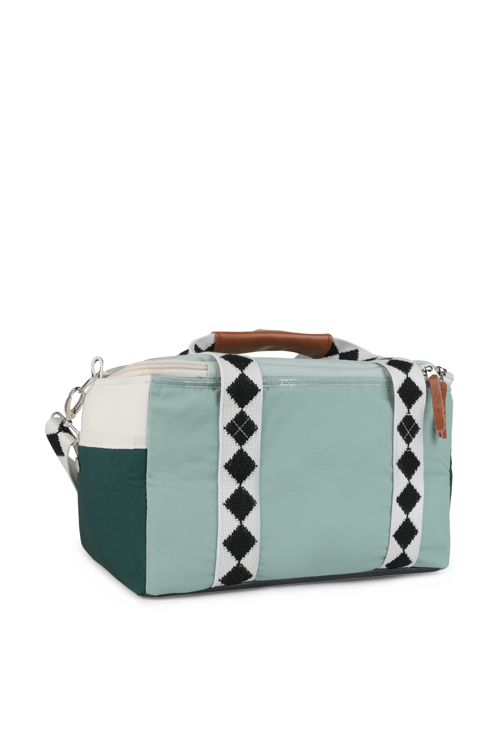 תמונה אחורית של צידנית