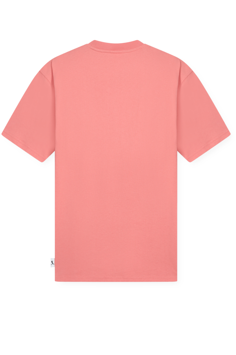 תמונה אחורית של חולצה