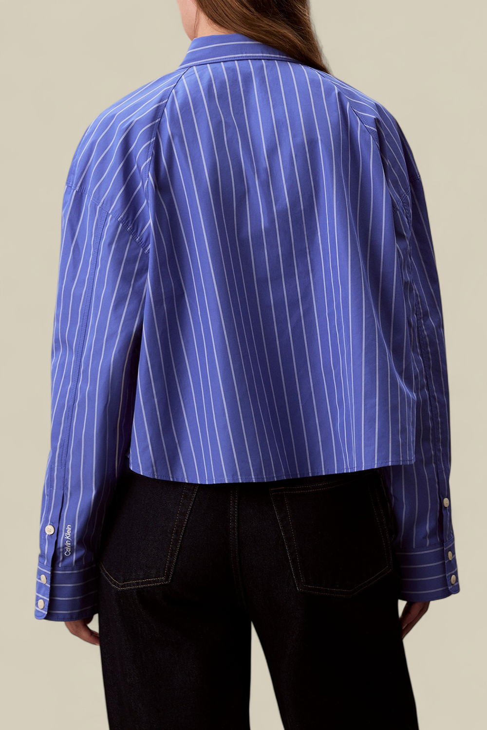 תמונת דוגמן אחורית של חולצת כפתורים קרופ