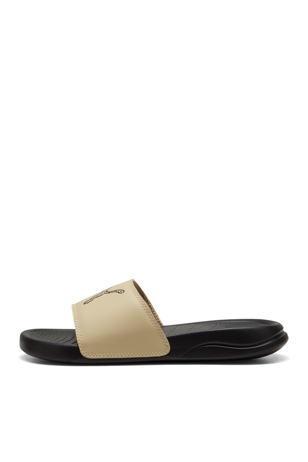 תמונה אחורית של כפכפים