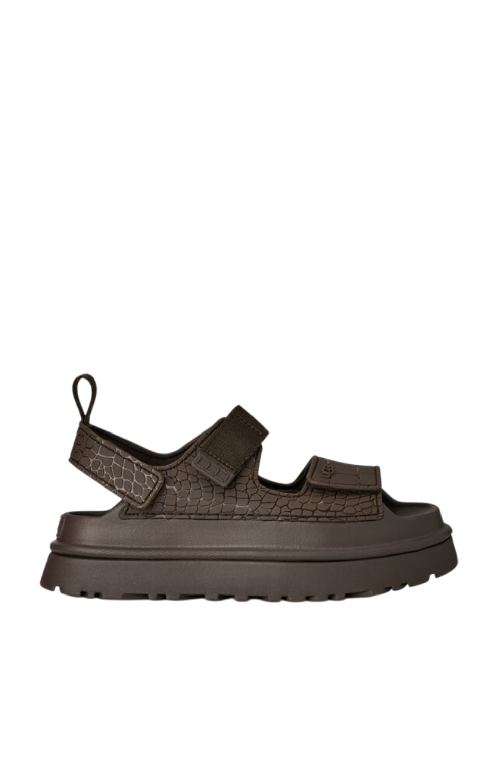 תמונה קידמית של סנדלי גולדן גלאו