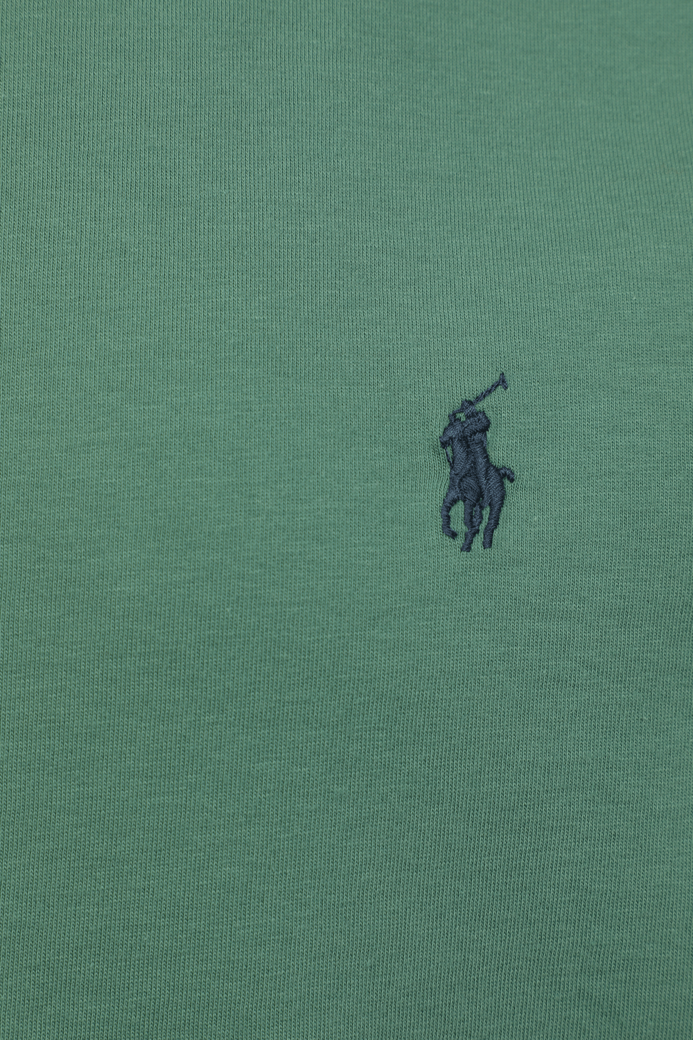 תמונה אחורית של Slim Fit Logo Tee in Green