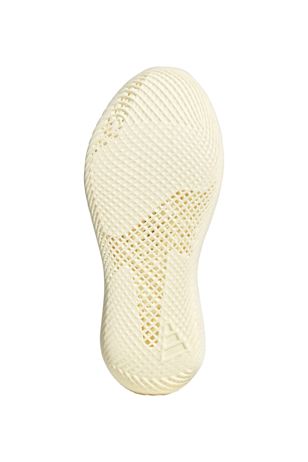 נעלי סניקרס