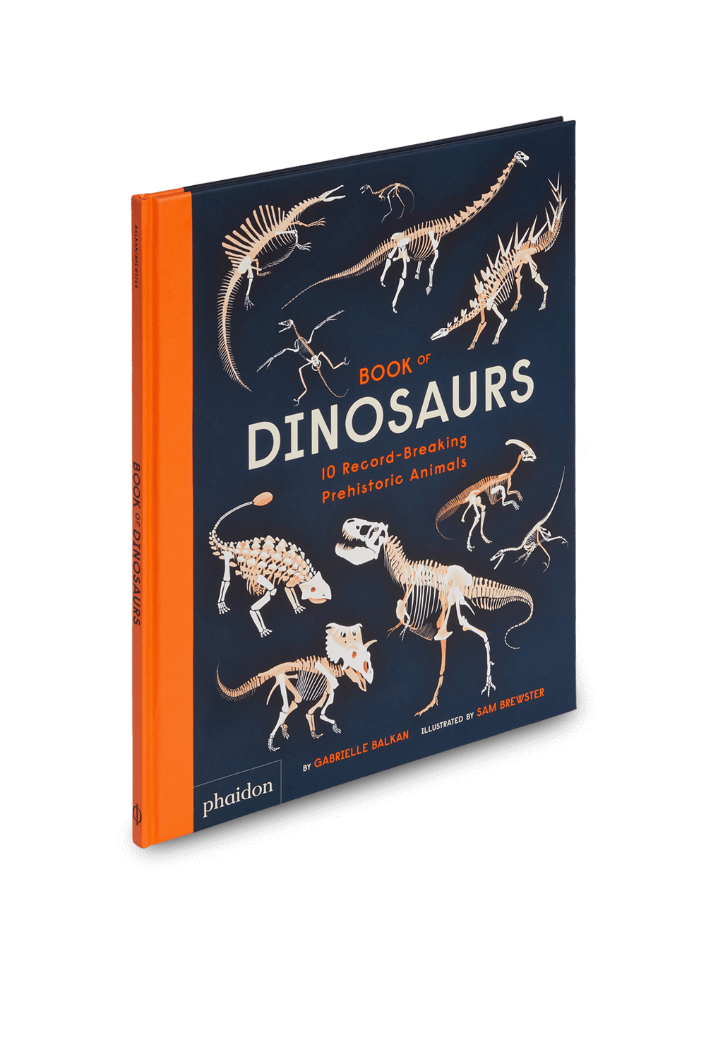 תמונה קידמית של Book of Dinosaurs