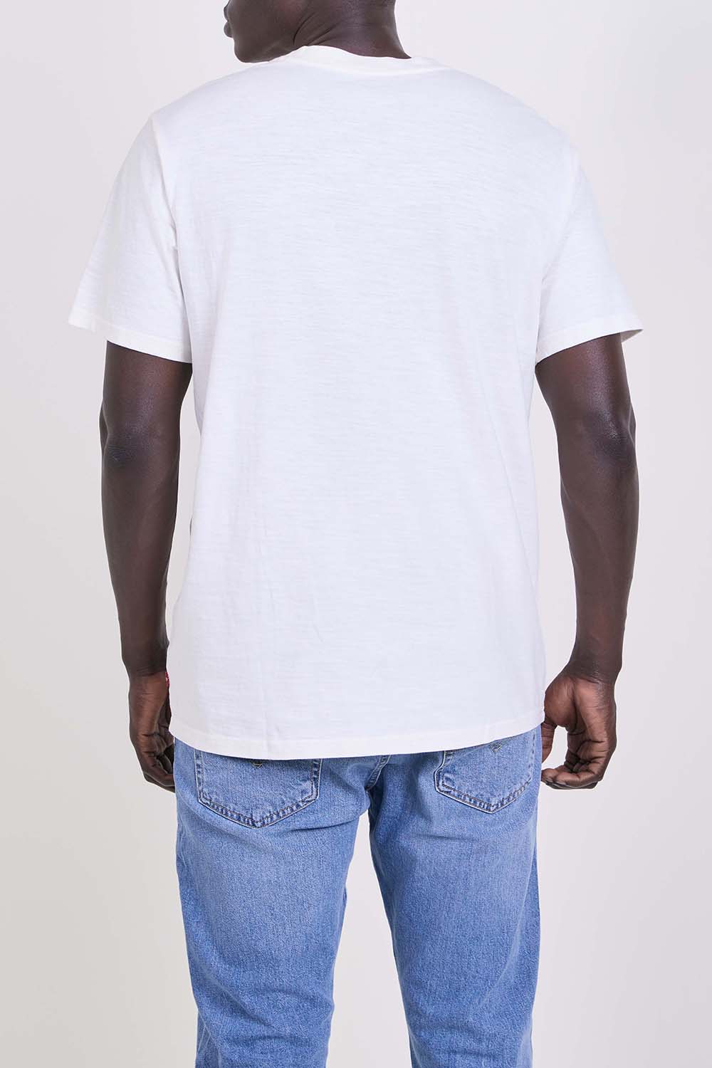 תמונת דוגמן אחורית של טי שירט אוברסייז