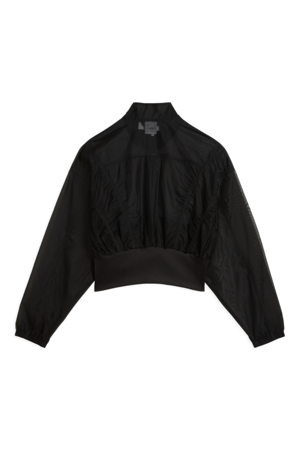 תמונה אחורית של ז&rsquo;קט