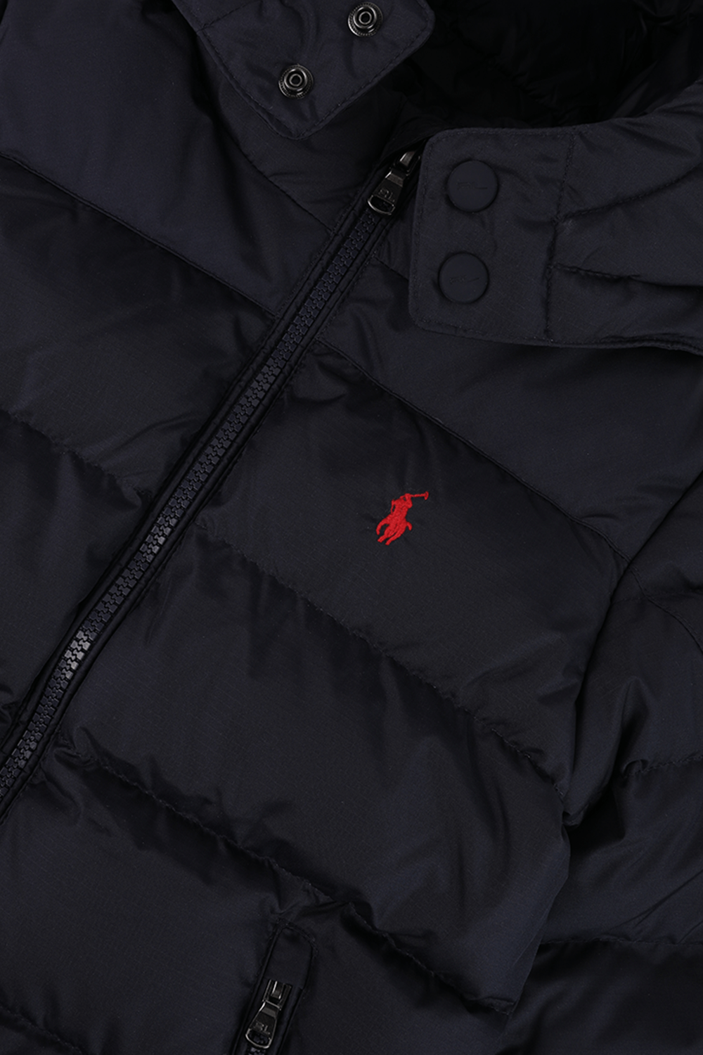 תמונה אחורית של גילאי 2-4 מעיל מרופד בגוון כחול נייבי