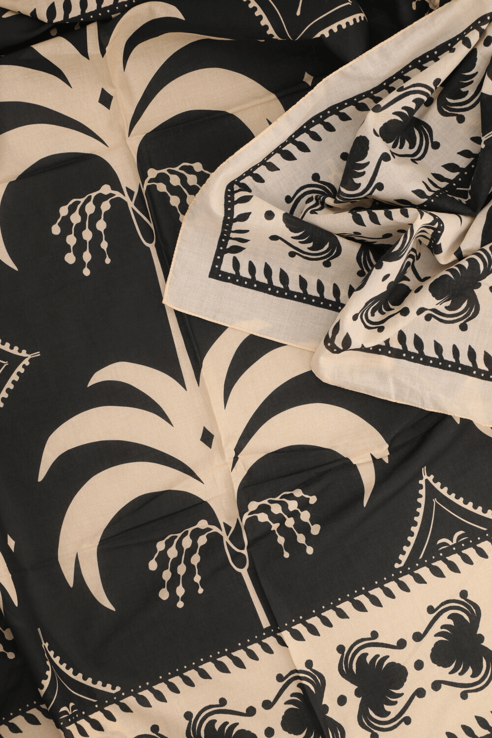 תמונה אחורית של פראו