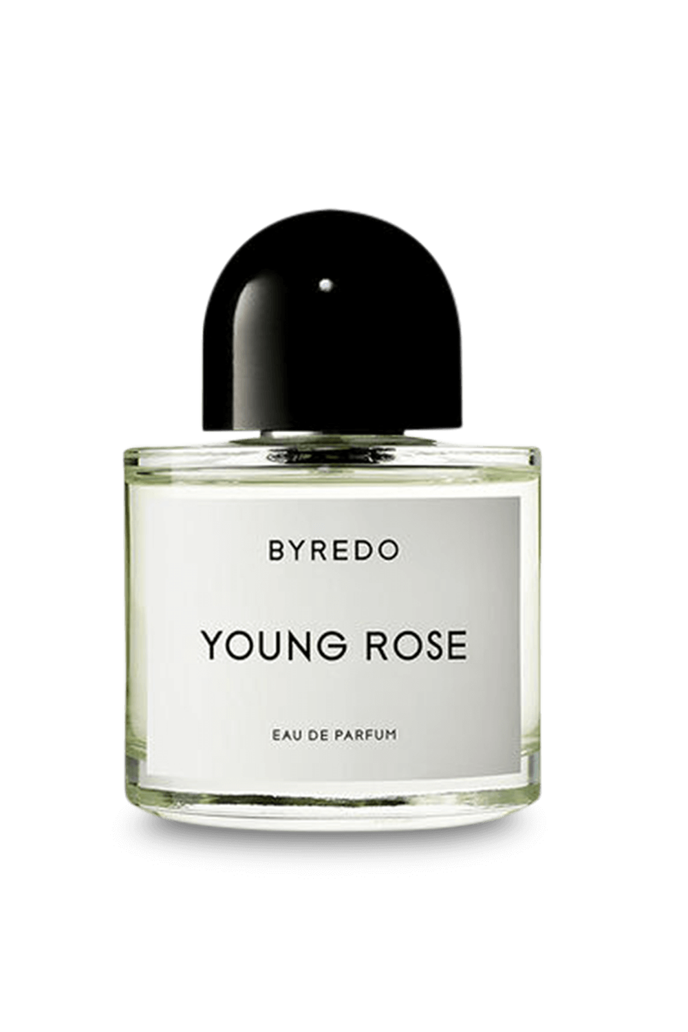 תמונה קידמית של Young Rose Eau de Parfum 100 ml