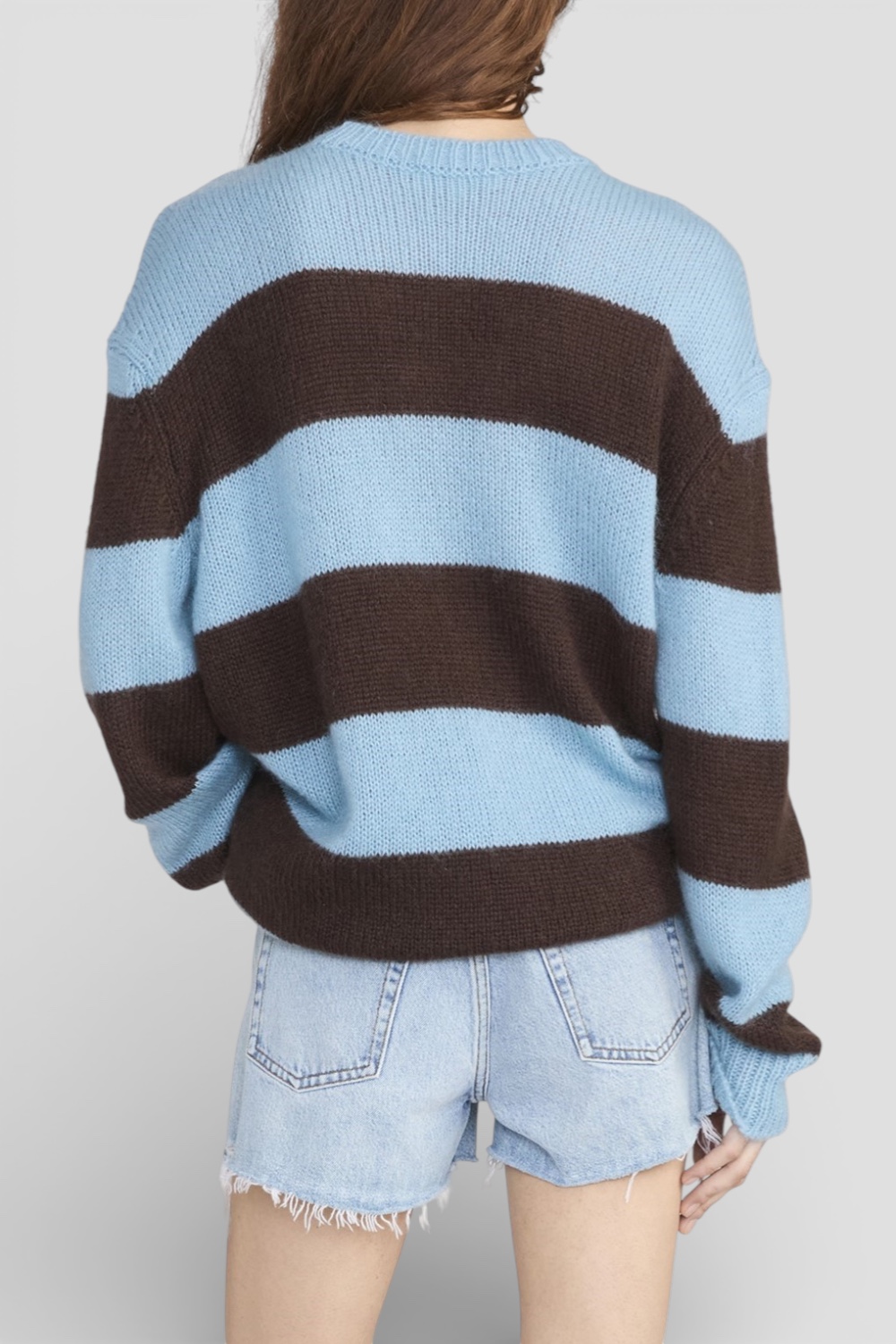 תמונת דוגמן אחורית של סריג