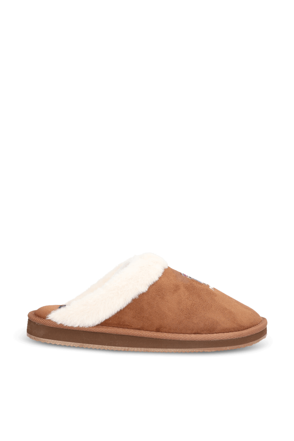 תמונה קידמית של נעלי בית