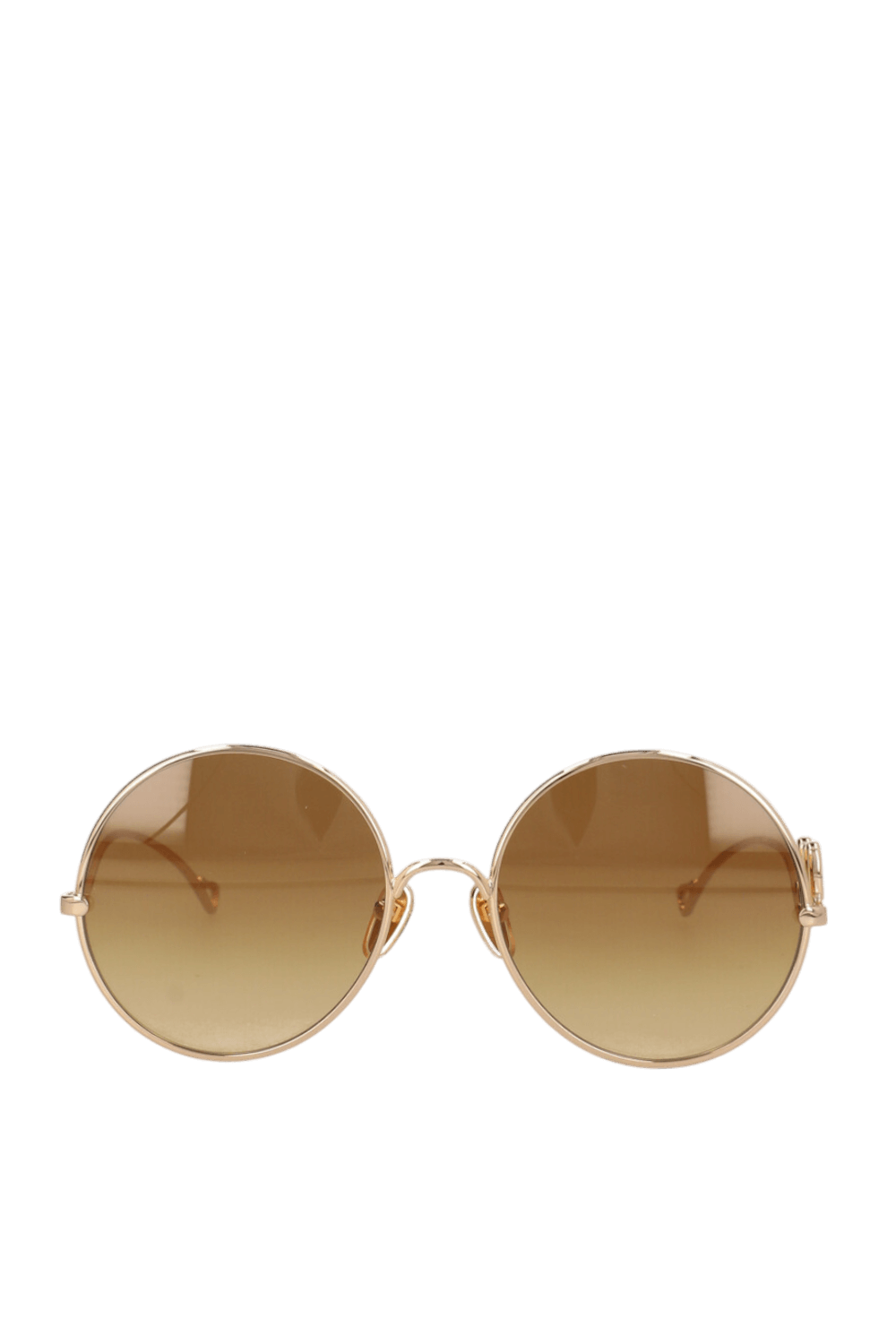 תמונה קידמית של משקפי שמש