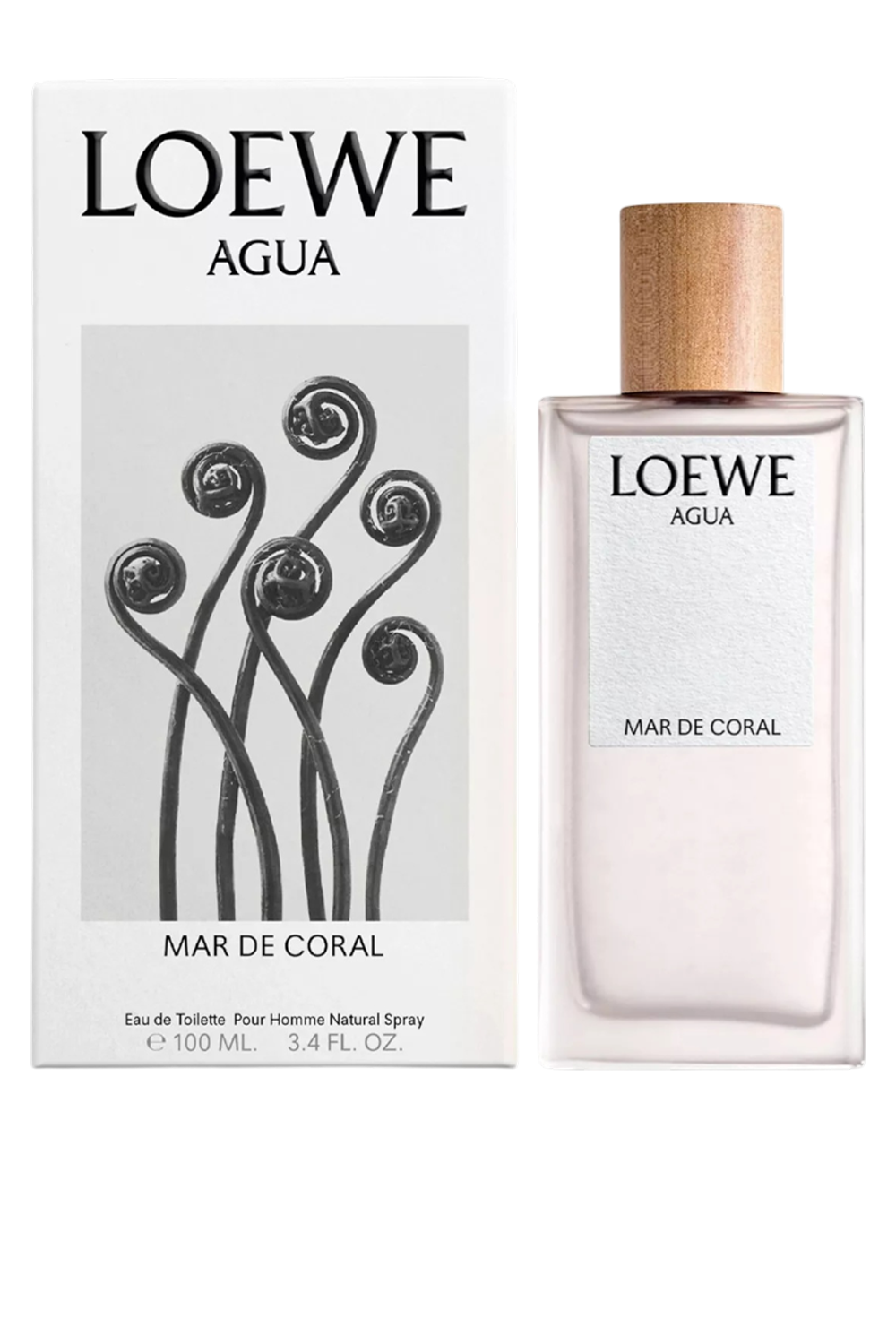 תמונה אחורית של Agua de Loewe Mar de Coral Eau de Toilette 100 ml