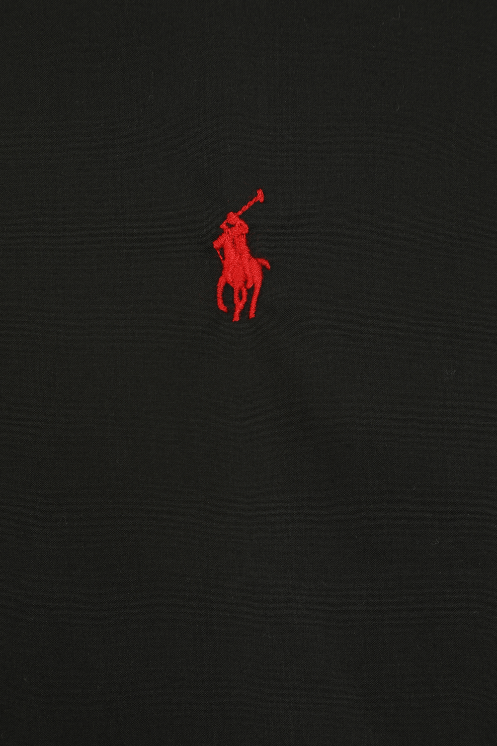 תמונה אחורית של Slim Fit Cotton Shirt in Black