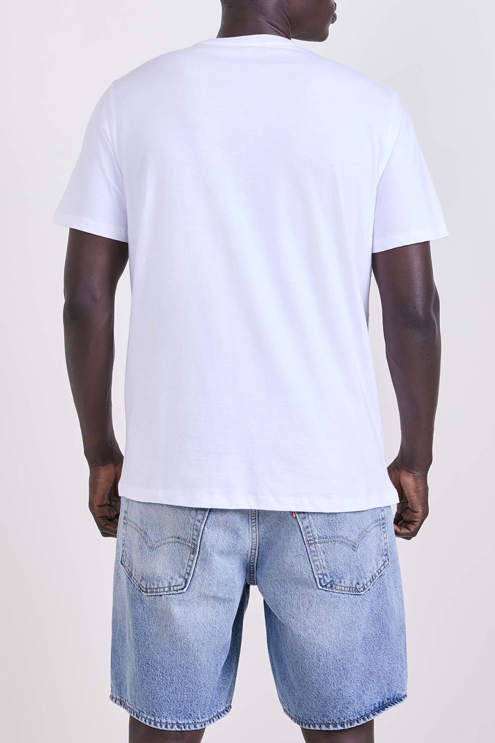 תמונת דוגמן אחורית של חולצת טי