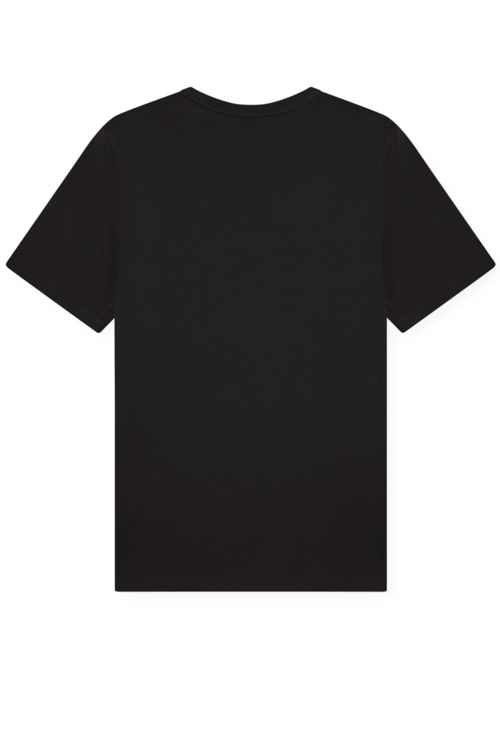 תמונה אחורית של חולצת טי