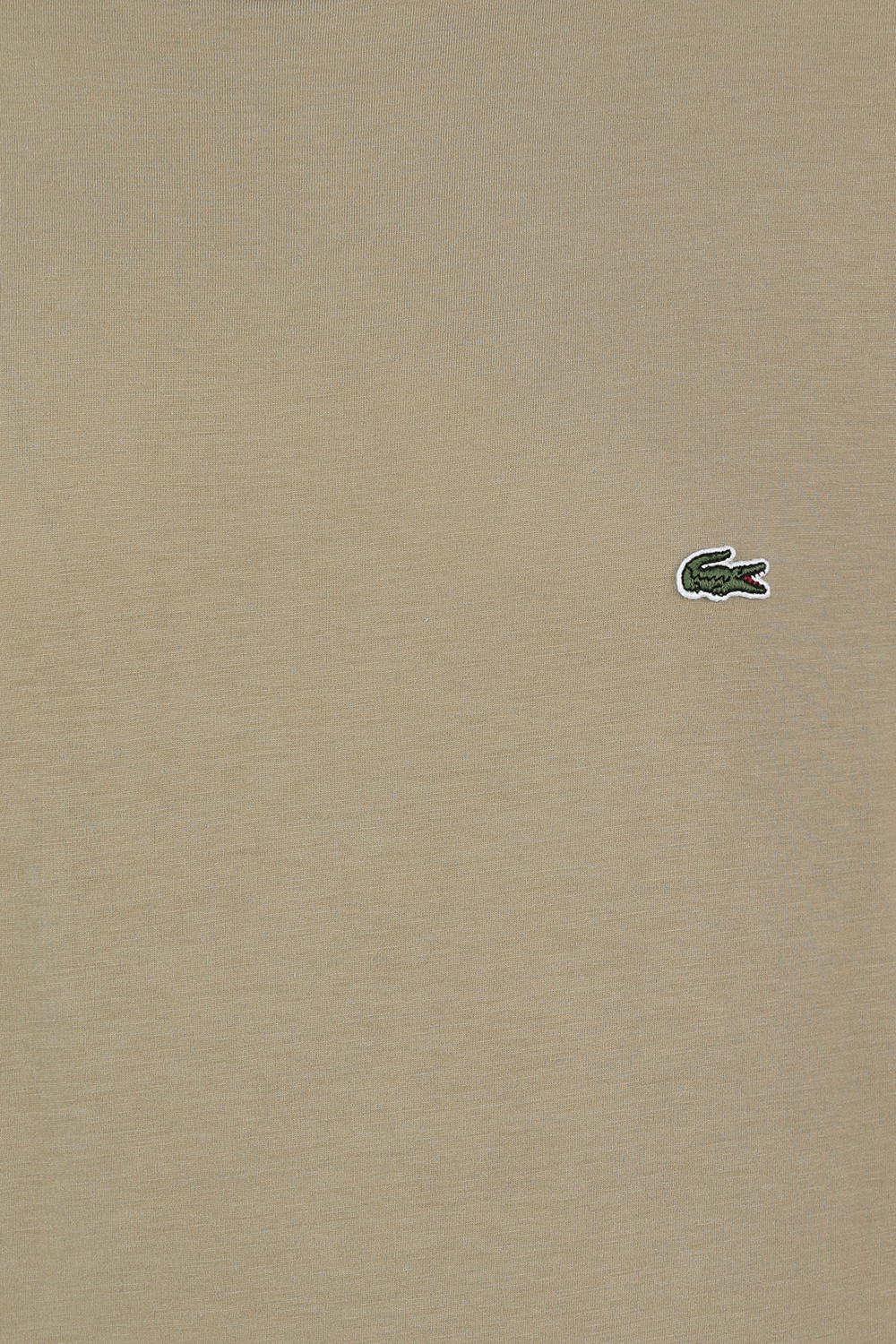 תמונה אחורית של חולצת טי קלאסית