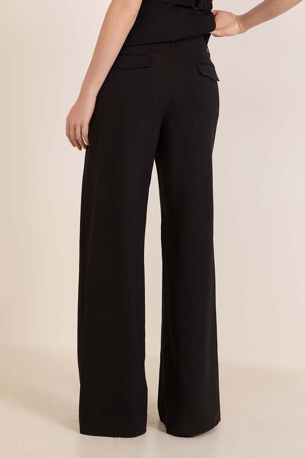 תמונת דוגמן אחורית של מכנסיים מחוייטים