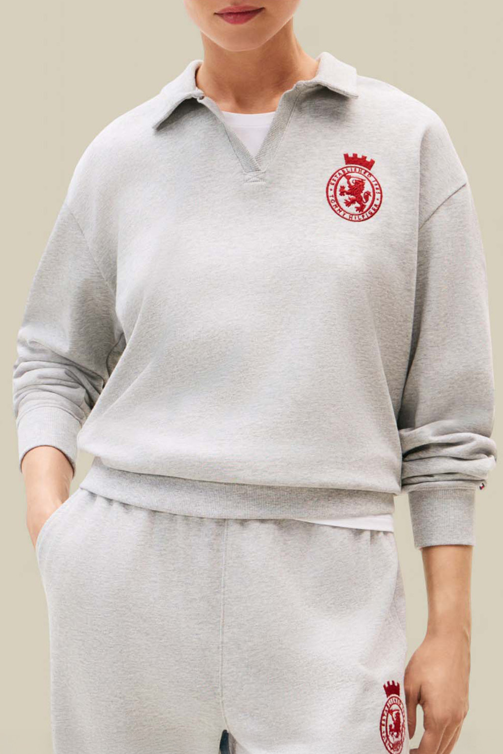 תמונת דוגמן קידמית של סווטשירט פולו