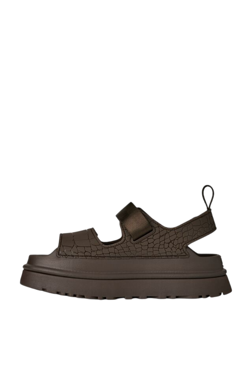 תמונה אחורית של סנדלי גולדן גלאו