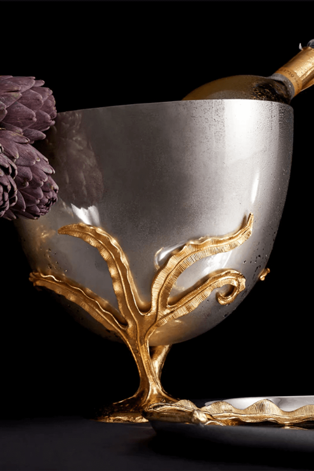 תמונה אחורית של שמפנייר