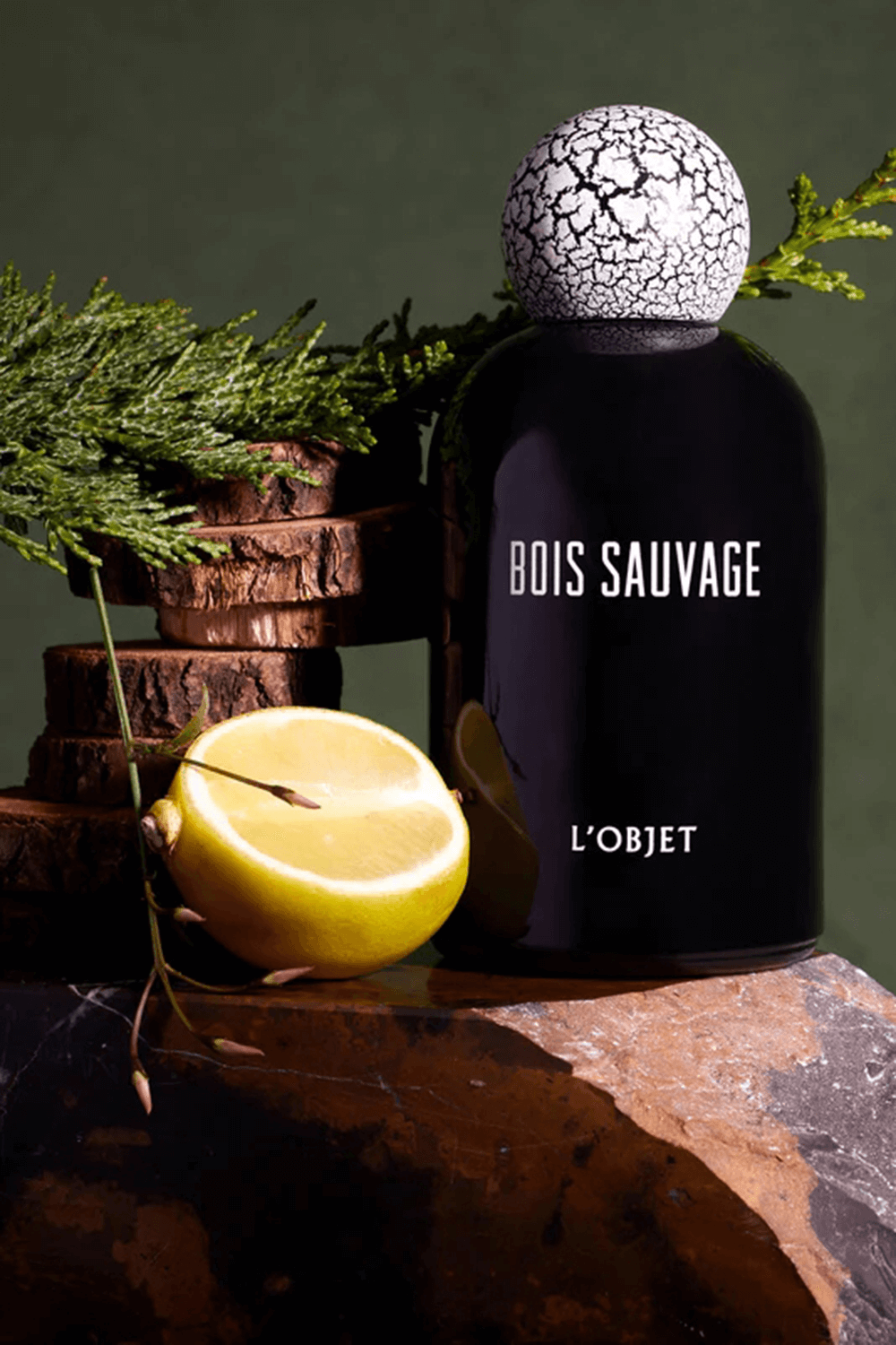 תמונה אחורית של Bois Sauvage Eau de Parfum 50 ml