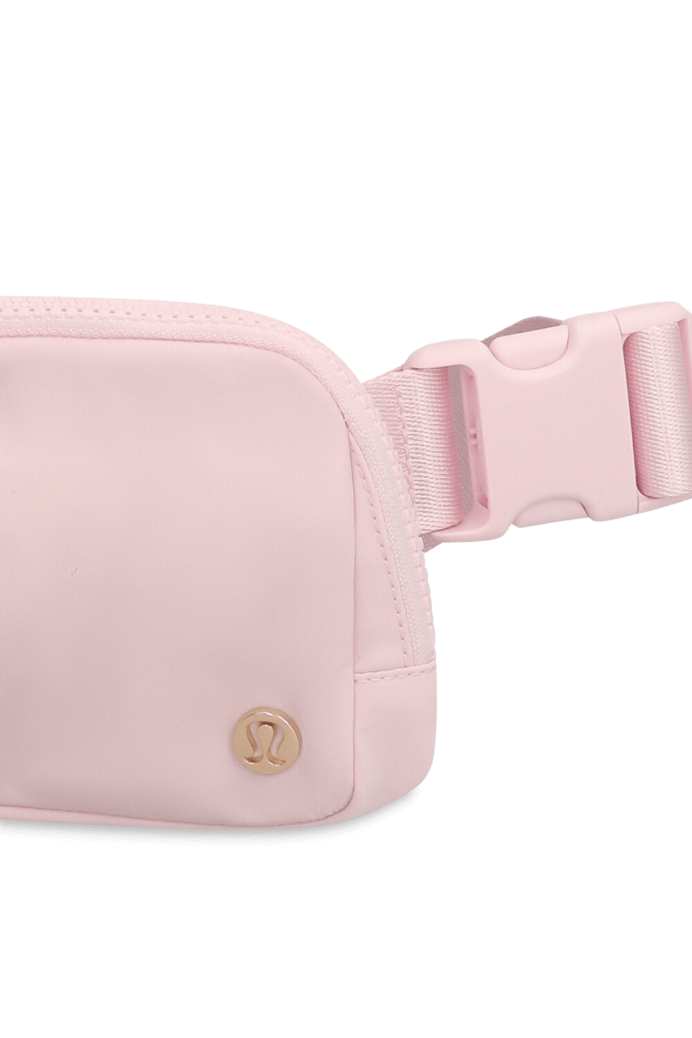 תמונת תקריב של Everywhere Belt Bag