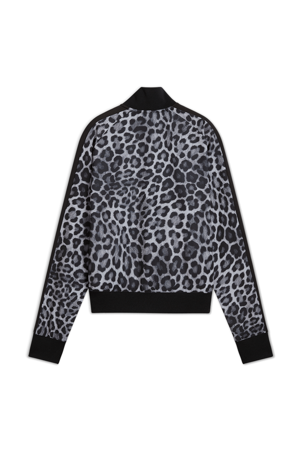 תמונה אחורית של סווטשירט