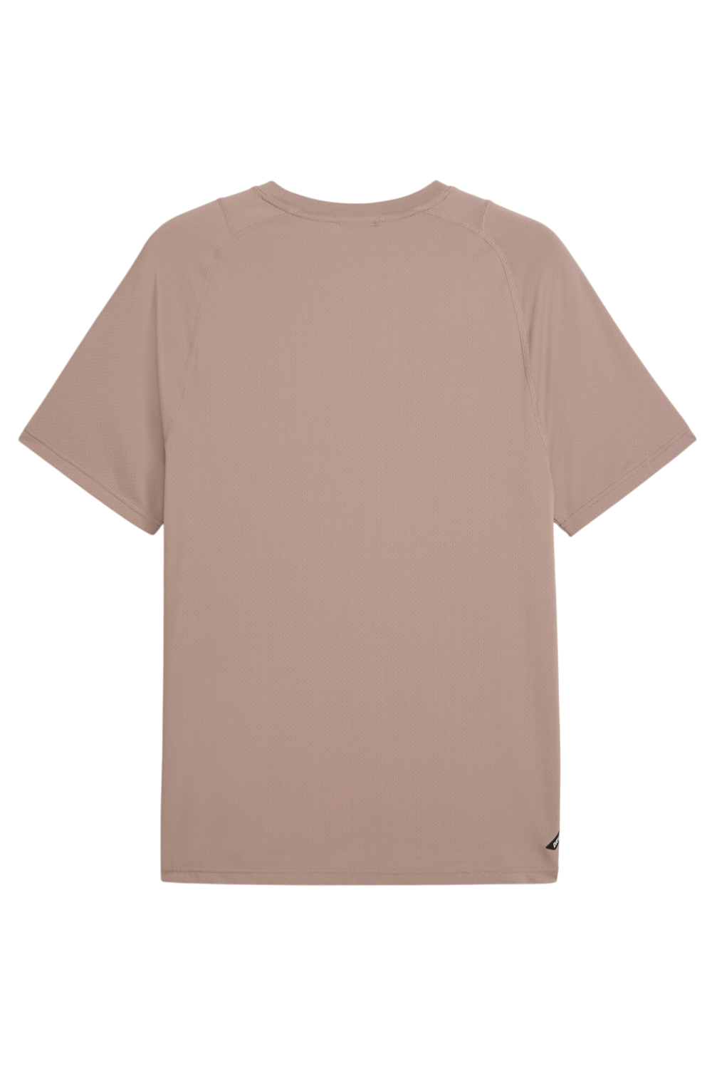 תמונה אחורית של חולצת טי