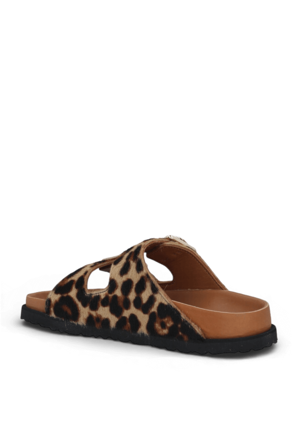 תמונה אחורית של נעלי אריזונה