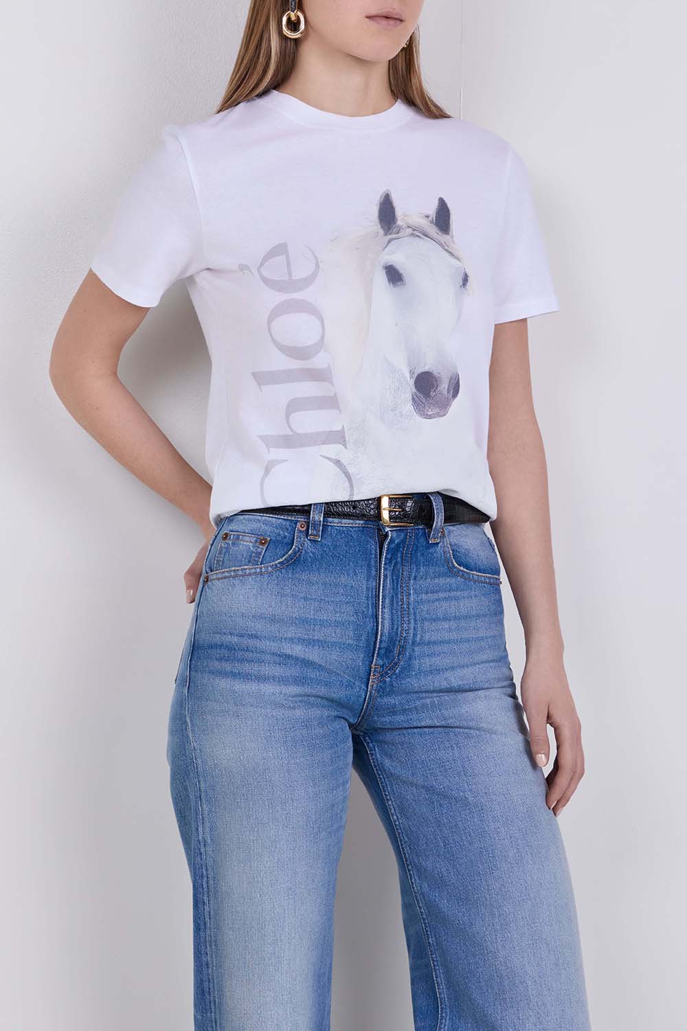 תמונת דוגמן קידמית של חולצת טי