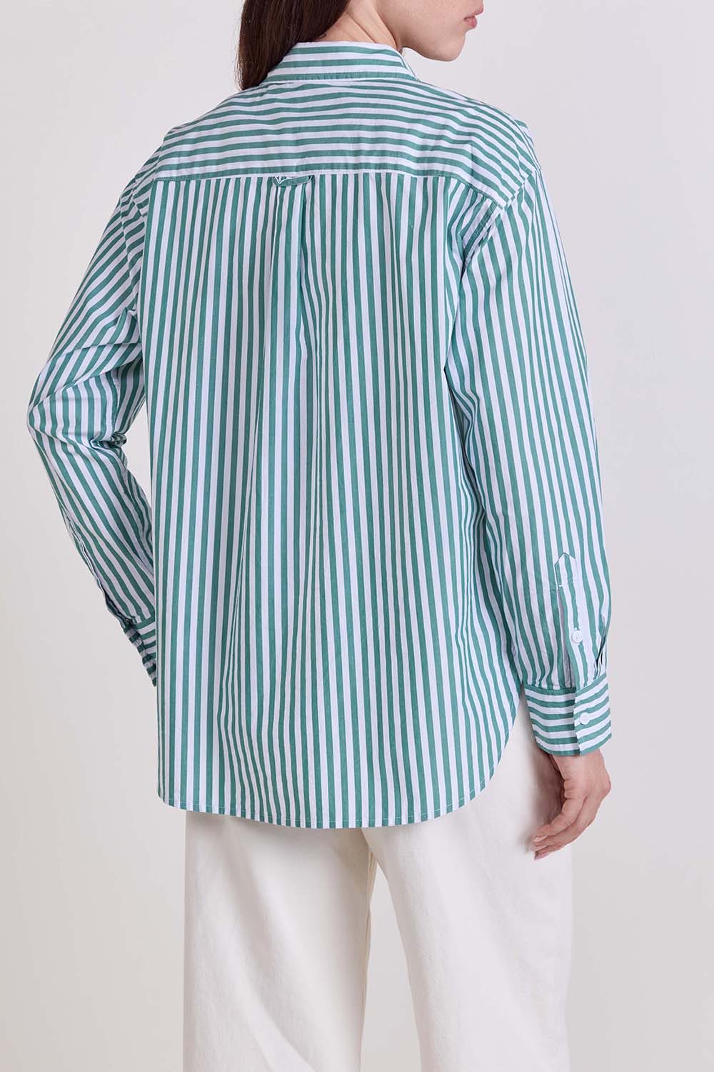 תמונת דוגמן אחורית של חולצה מכופתרת