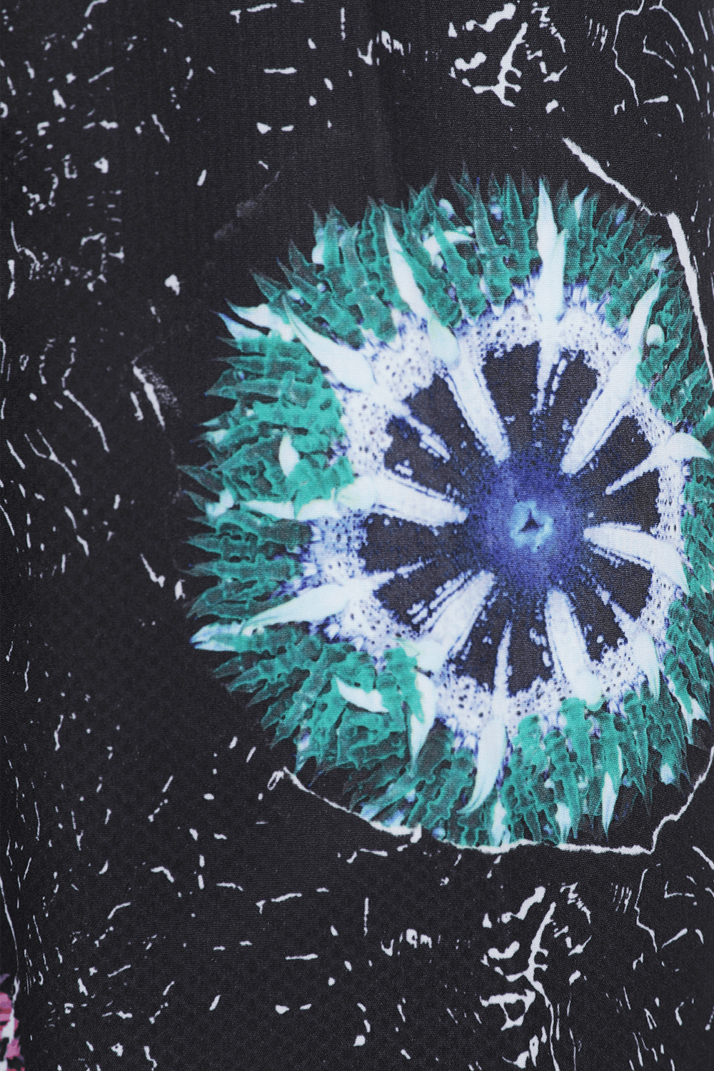 תמונה אחורית של Coral Morph Swimshorts in Black