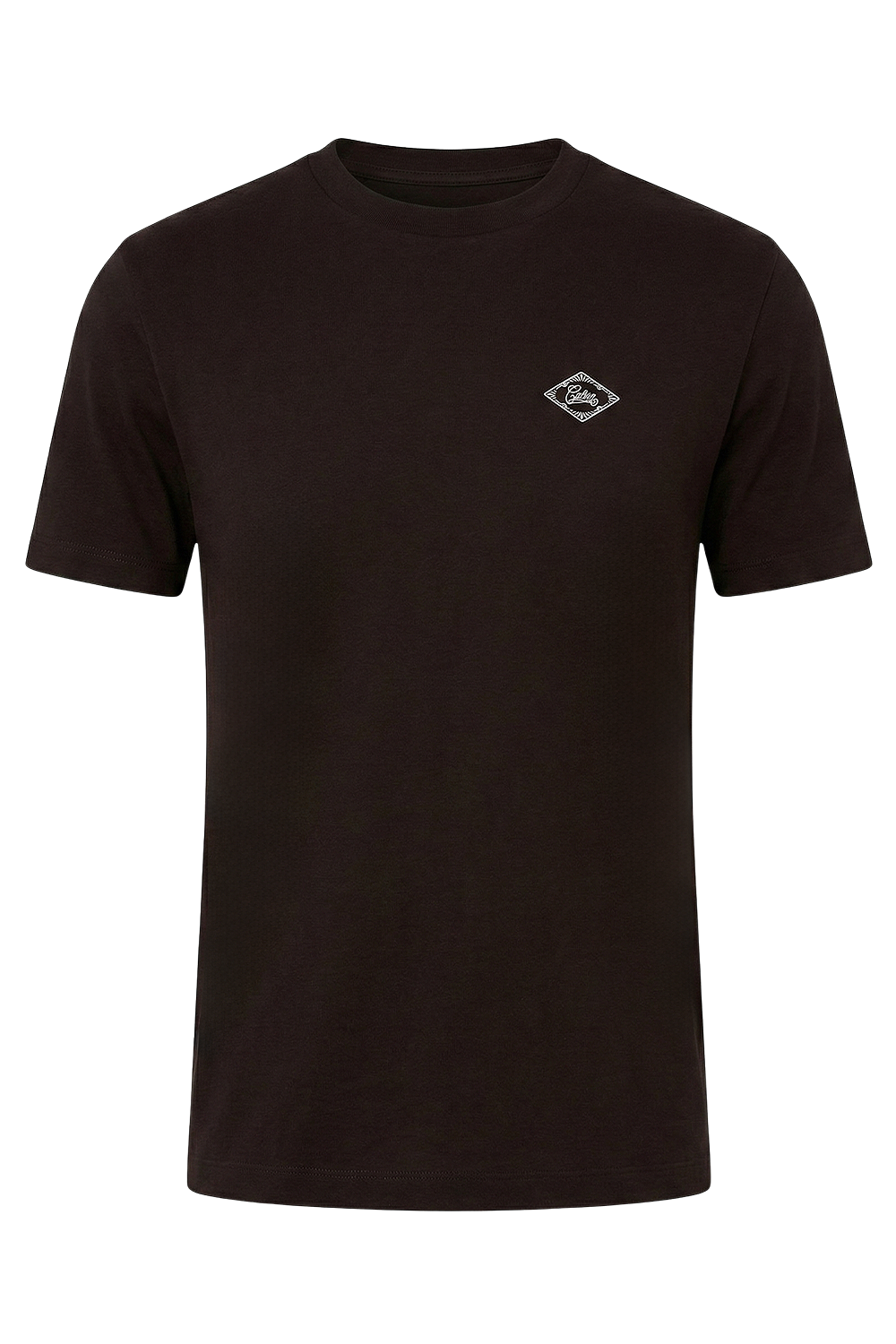 תמונה קידמית של חולצת טי