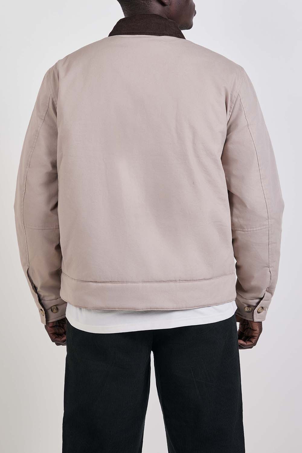 תמונת דוגמן אחורית של ז'קט