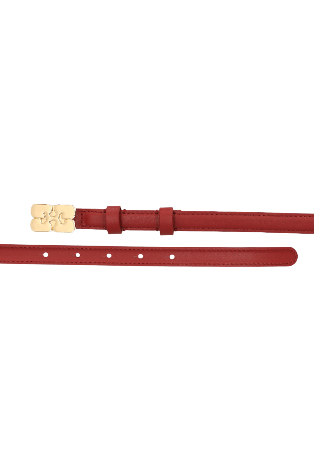 תמונה אחורית של חגורה