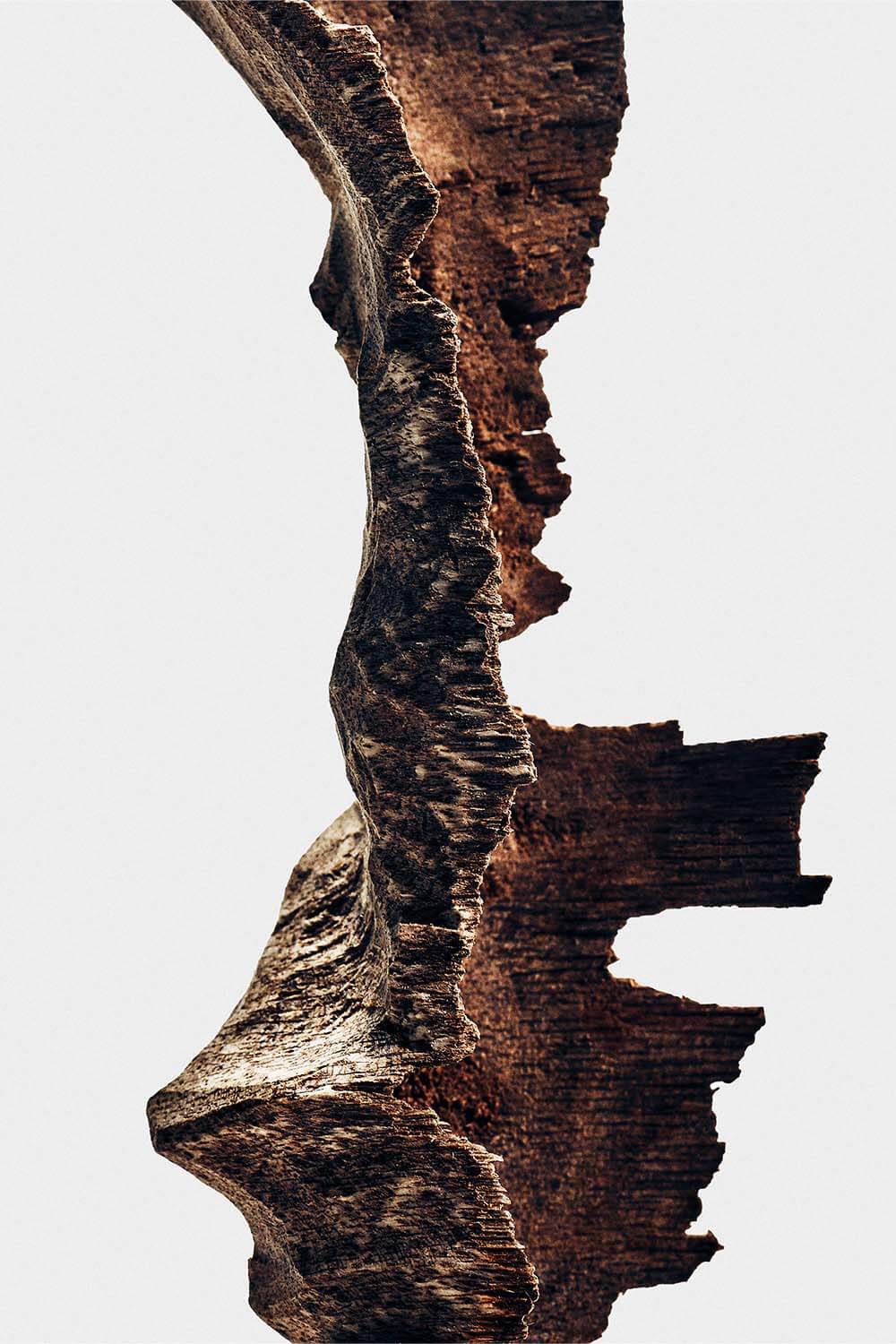 תמונת תקריב של Loewe Bittersweet oud Eau de Parfum 100 ml