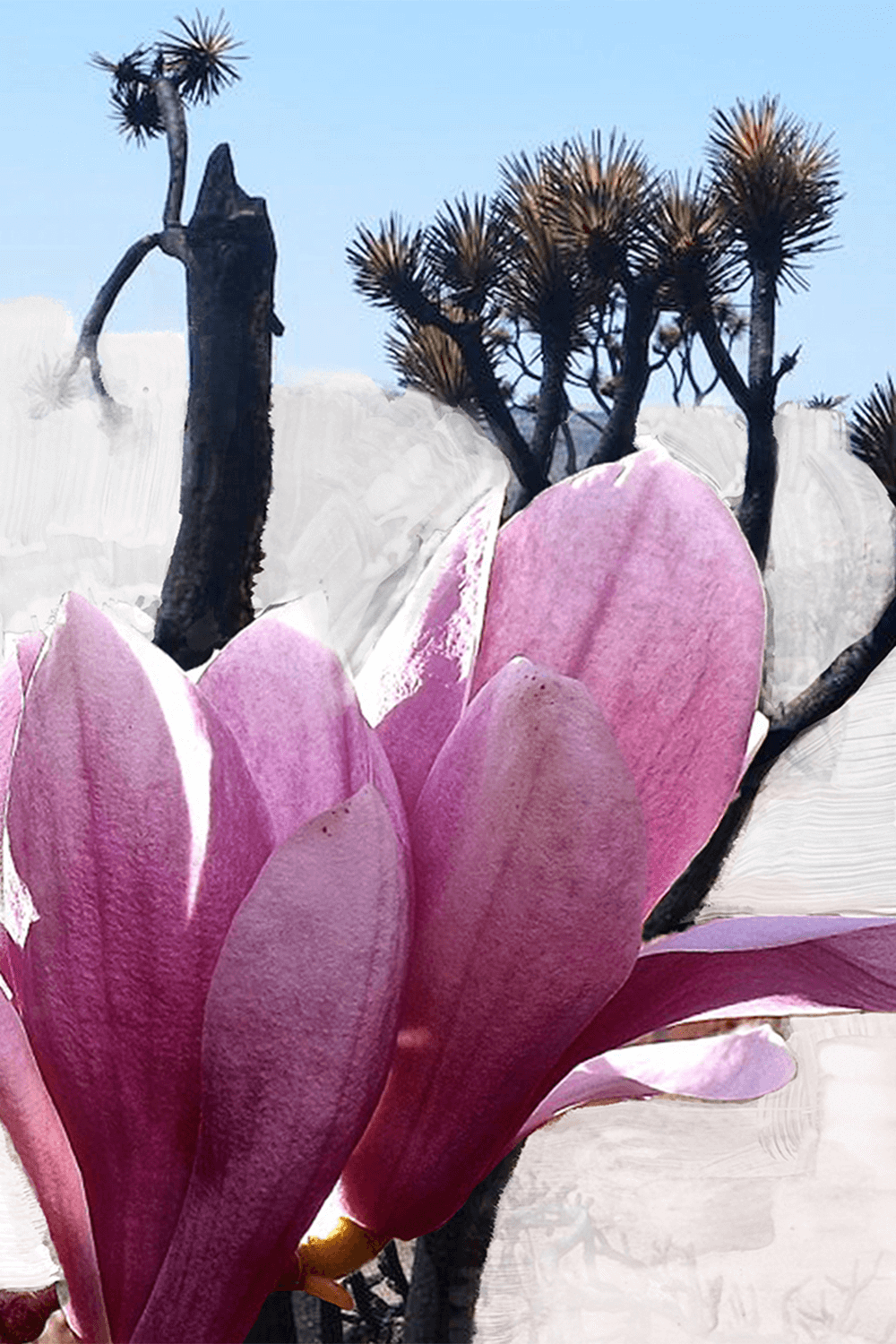 תמונת פנים של Mojave Ghost Eau de Parfum 100 ML