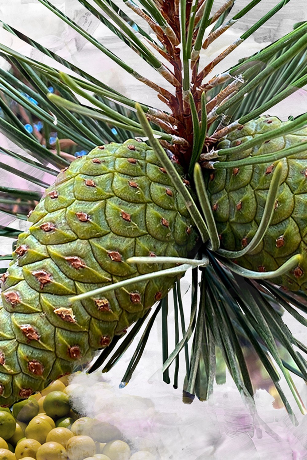 תמונת פנים של Gypsy Water Eau de Parfum 50 ml