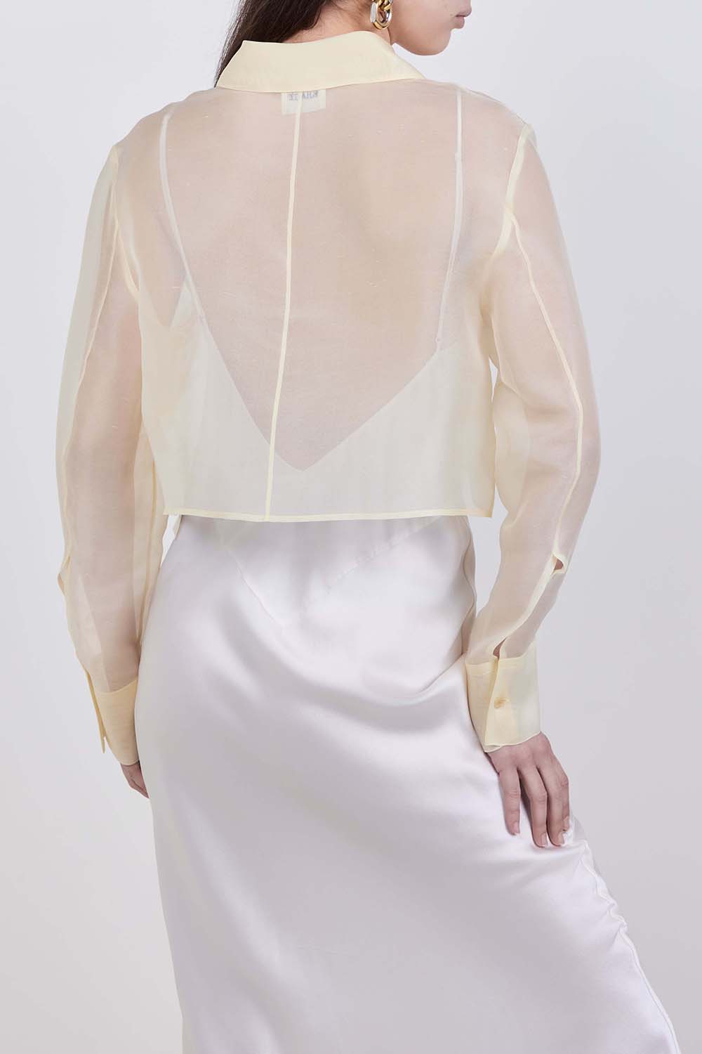 תמונת דוגמן אחורית של חולצה מכופתרת קרופ