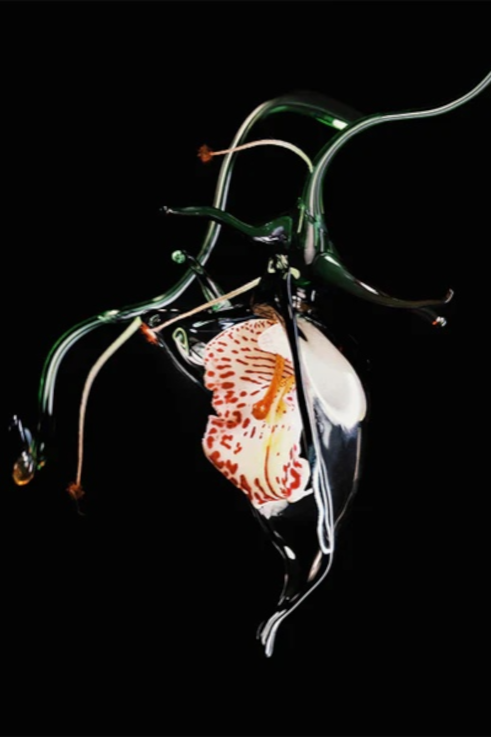 תמונת פנים של Gypsy Water Absolu de Parfum 100ML