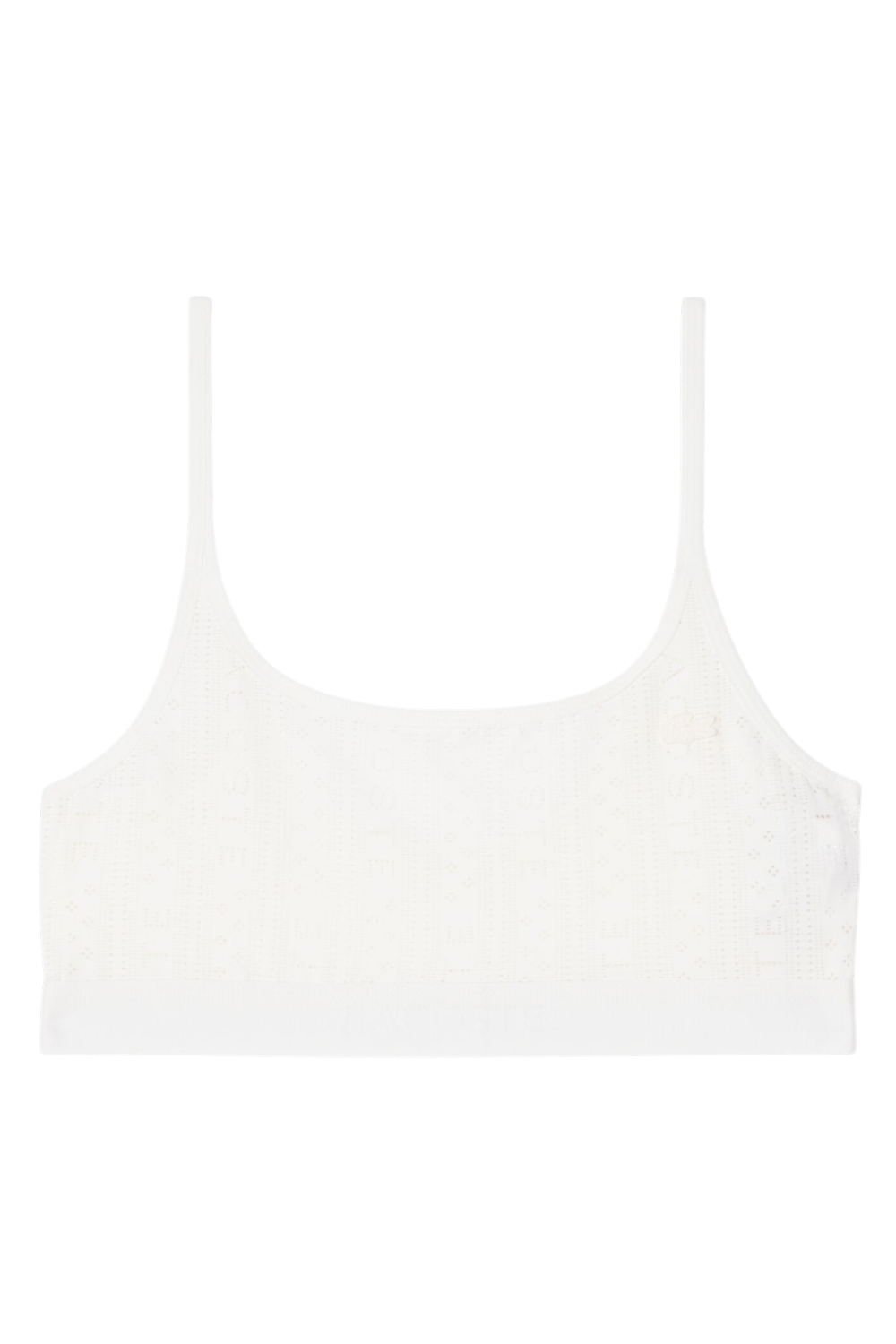 תמונה אחורית של חזייה