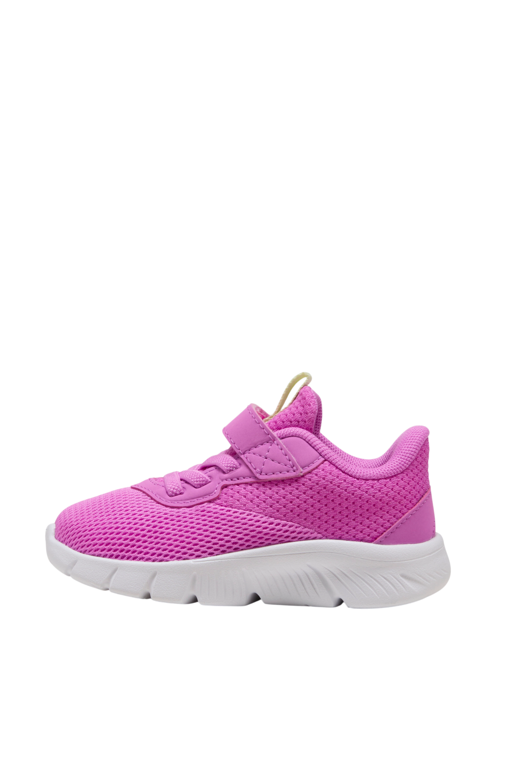 תמונה אחורית של נעלי סניקרס פלקס פוקוס