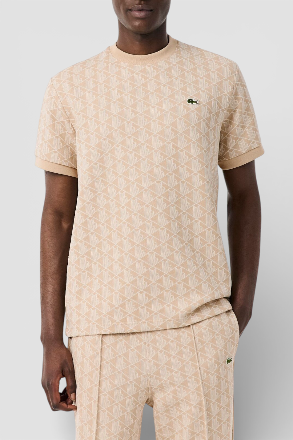 תמונת דוגמן קידמית של חולצת טי