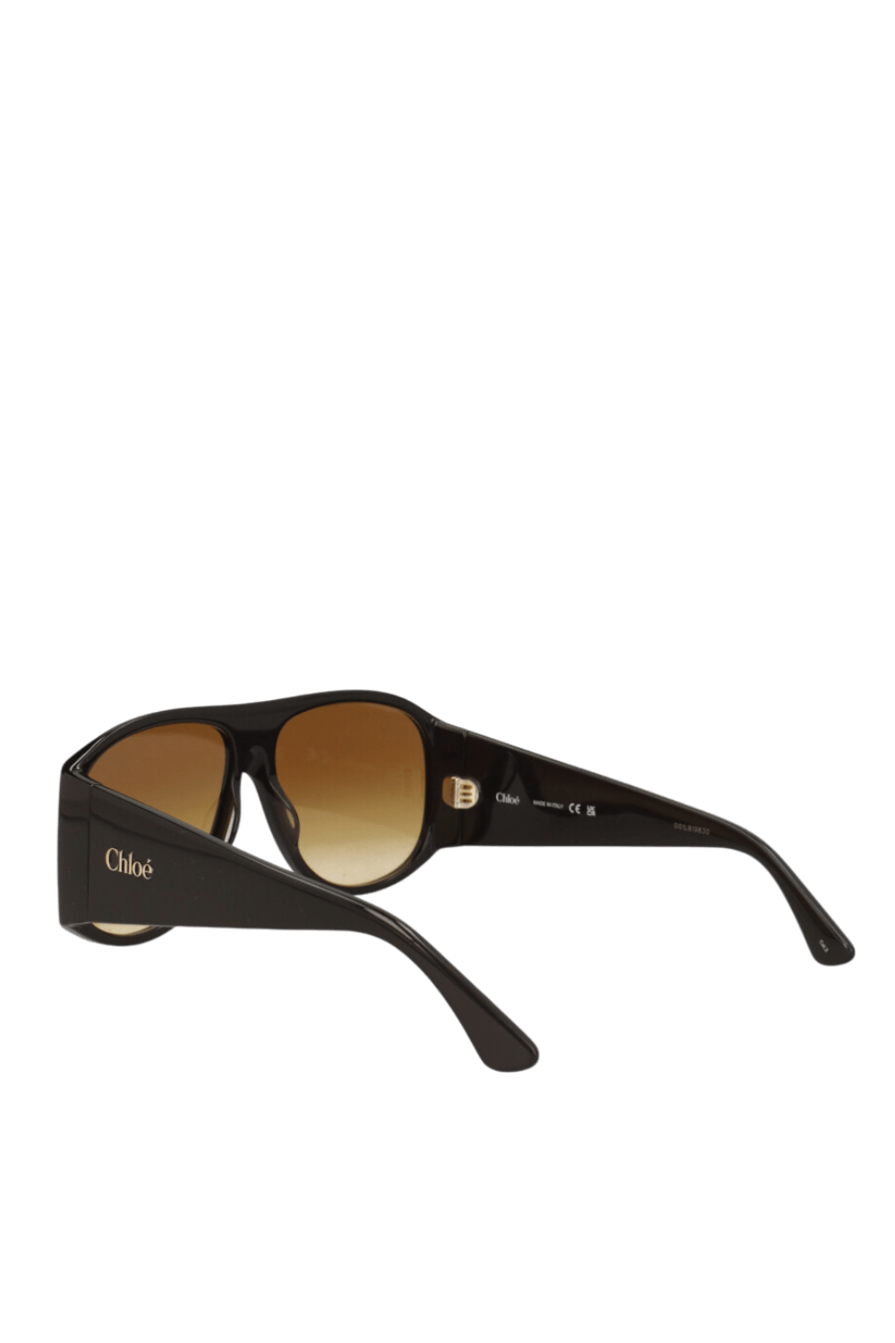 תמונה אחורית של משקפי שמש