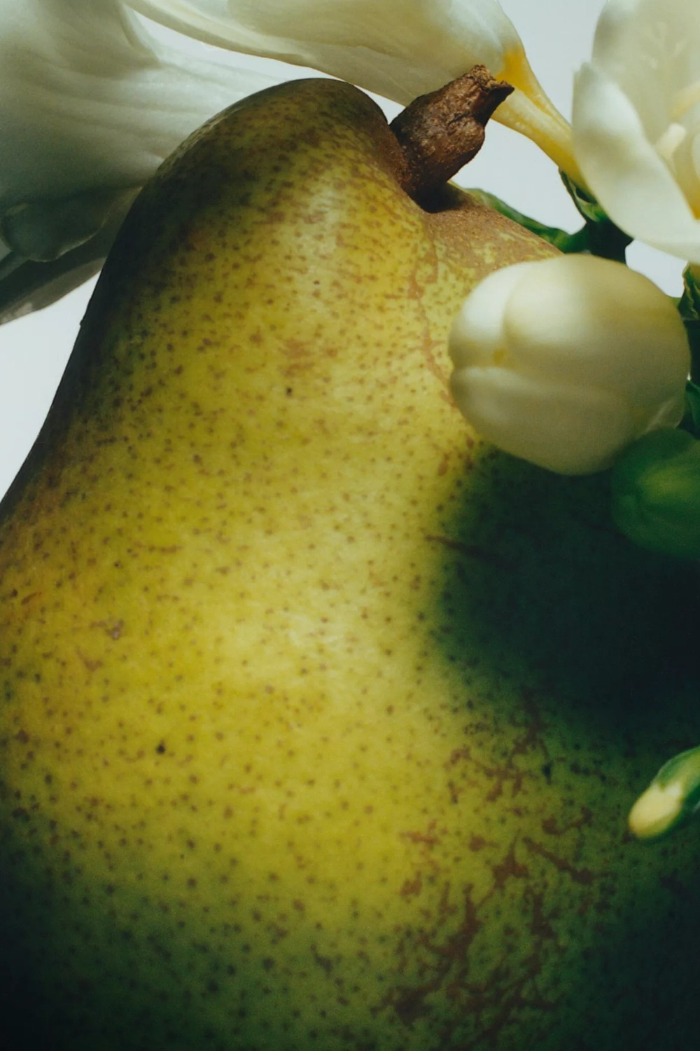 תמונת תקריב של English Pear&Freesia Diffuser 165 ML