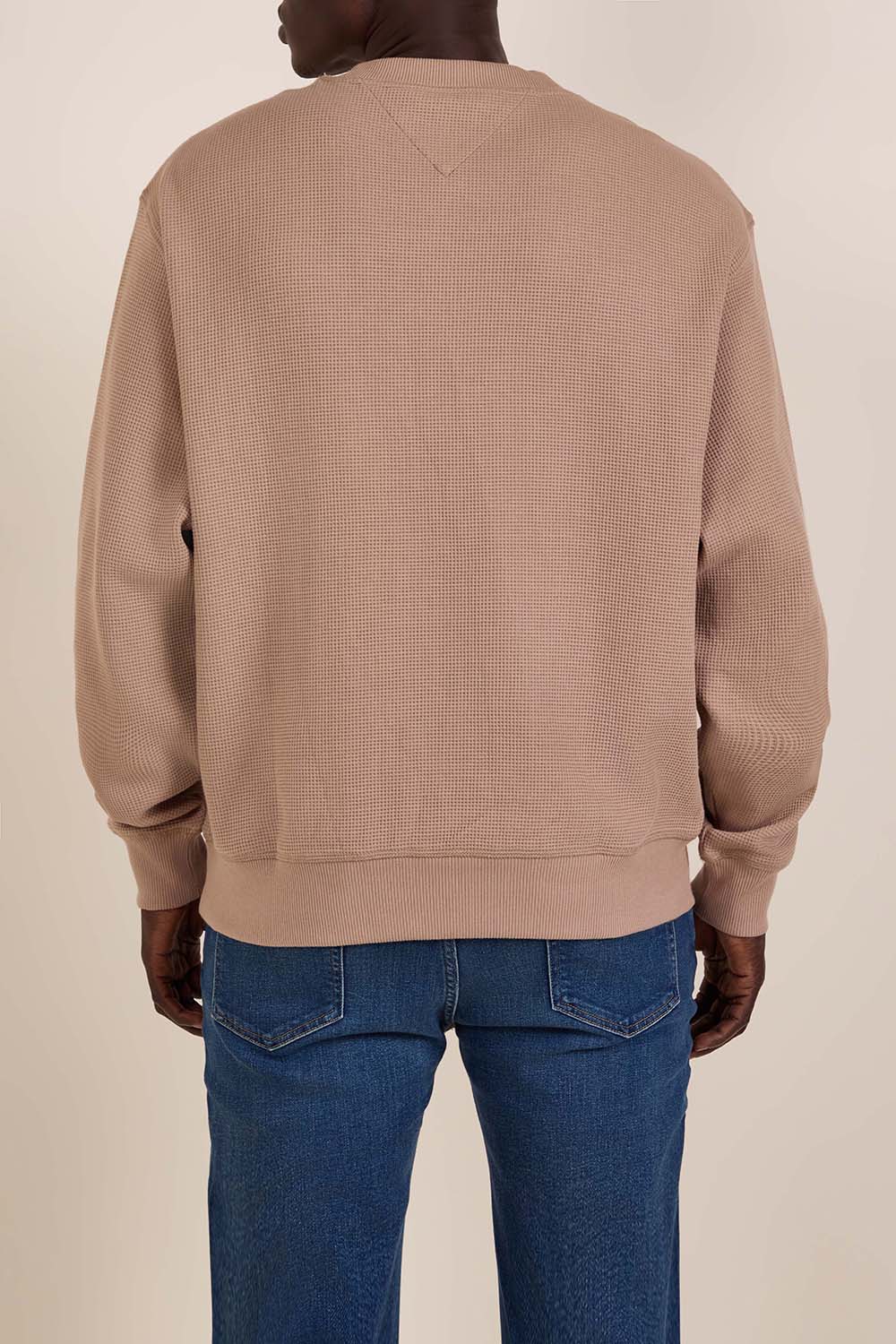 תמונת דוגמן אחורית של סווטשירט